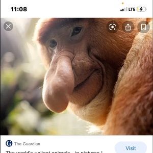 Meet your Posher, Aly